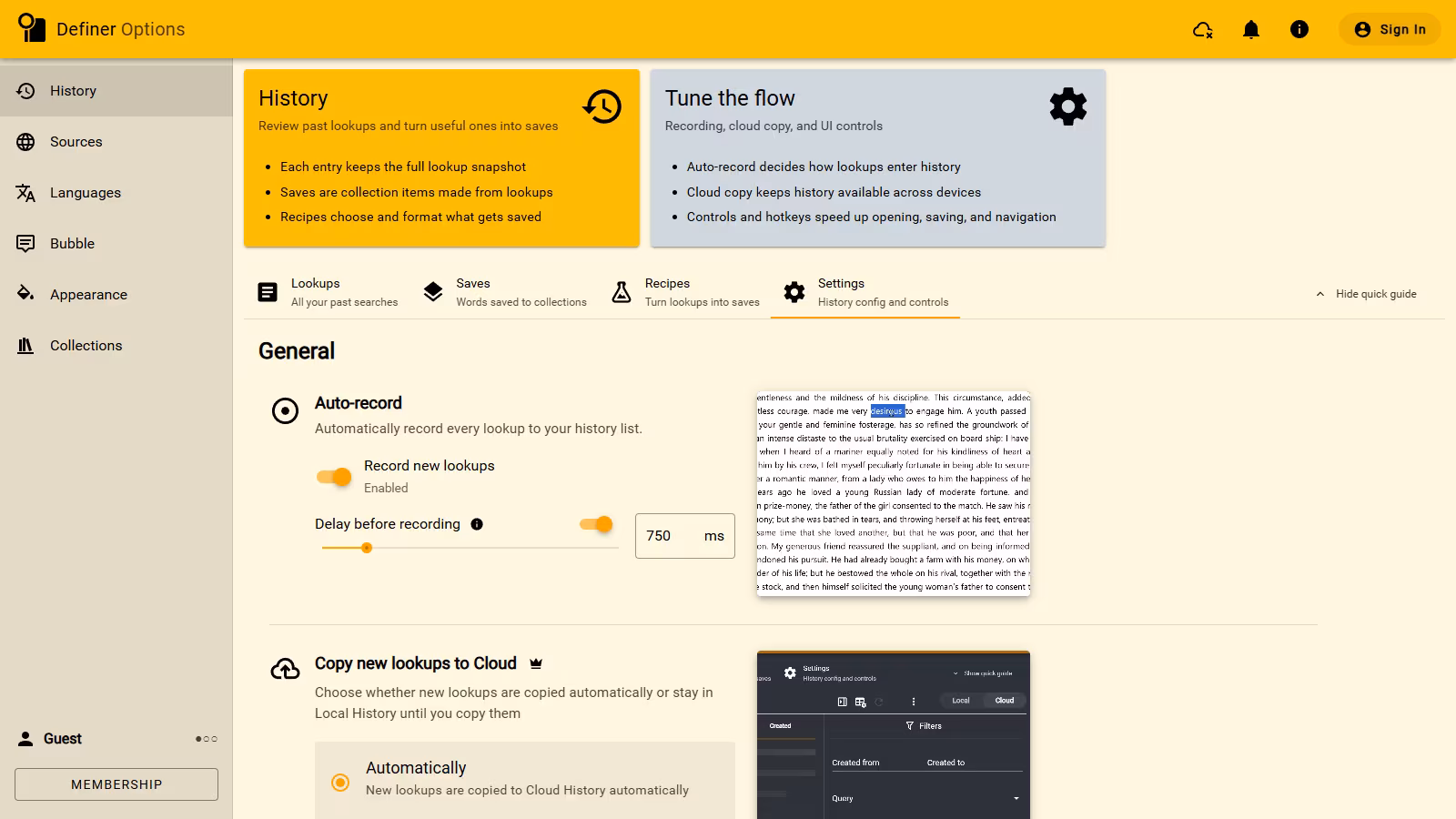 The full Definer Options frame showing automatic History recording and its preview