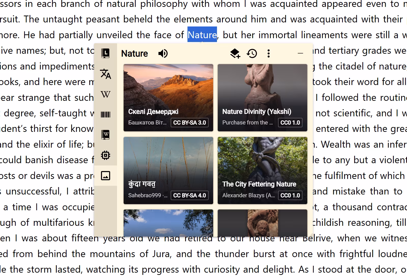 A normal unpinned Open Images Bubble over selected text, showing how the same lookup can open a visual source